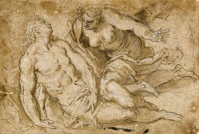 Venus entdeckt den toten Adonis von Palma Il Giovane