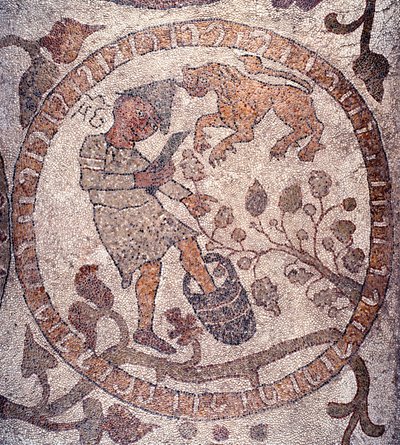 August: ein Bauer mit phrygischer Mütze pflückt die Trauben und zerquetscht sie in einem Eimer. Das Zeichen des Löwen ist repräsentativ. Mosaik von Pantaleone, Priester und Mosaikkünstler. 1163-1166. Mittelschiff der Kathedrale von Otranto, Italien von Pantaleon Pantaleon