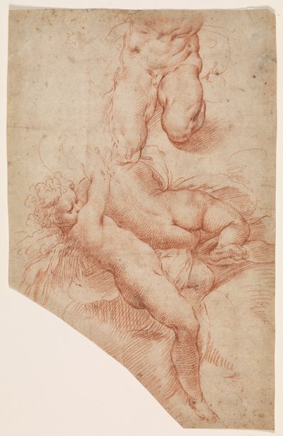 Ein Engel oder Putto, eine liegende rückwärtige Frau und der Unterkörper eines muskulösen Mannes von Paolo Farinati