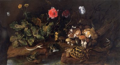 Stillleben mit einer Schlange, Fröschen, Schildkröte und Eidechse, 1656-1673 von Paolo Porpora