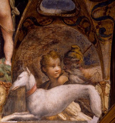 Hund und Jäger (aus dem Mythos von Diana und Aktäon) von Parmigianino