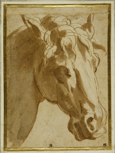 Der Kopf und Hals eines Pferdes von Parmigianino