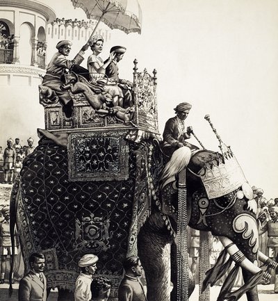 Königin Elizabeth II. auf einem Elefanten von Pat (1907-95) Nicolle