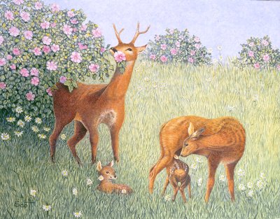 Hirschfamilie von Pat Scott