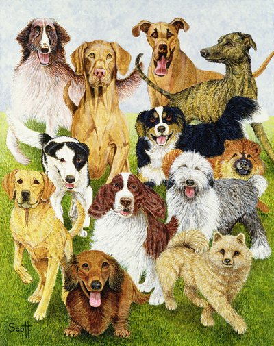 Hundstage von Pat Scott