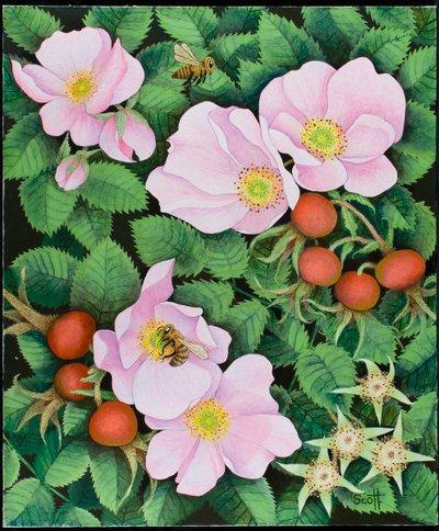 Teamarbeit, 2011 von Pat Scott