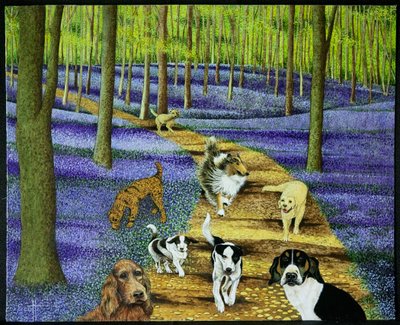 Der Morgenspaziergang von Pat Scott