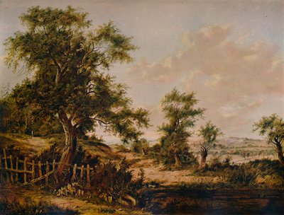 Landschaft mit Teich und Baum im Vordergrund, 1828 von Patrick Nasmyth