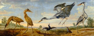Rohrdommeln, Reiher und Wasserrallen in einer Landschaft von Paul De Vos