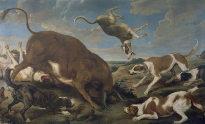 Stier von Hunden angegriffen – 17. Jahrhundert – Barockflämisch von Paul De Vos