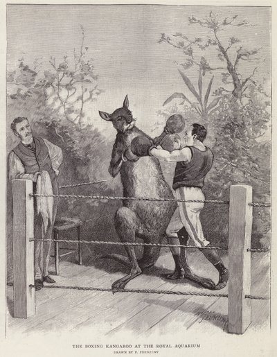 Der boxende Känguru im Royal Aquarium, London von Paul Frenzeny