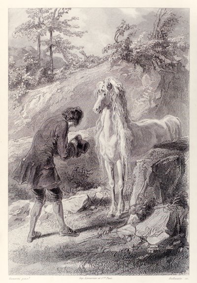 Das Pferd blieb stehen und starrte mich an, aus der französischen Ausgabe von Gullivers Reisen von Jonathan Swift von Paul Gavarni
