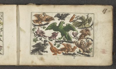 Raubvogel, elf andere Vögel und eine Fledermaus von Paul Göttich