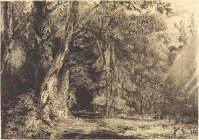 Überschwemmung im Wald der Île Séguin von Paul Huet