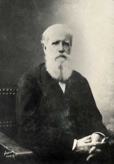 Porträt von Dom Pedro, Kaiser von Brasilien von Paul Nadar
