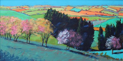 Teme Valley Blüte von Paul Powis