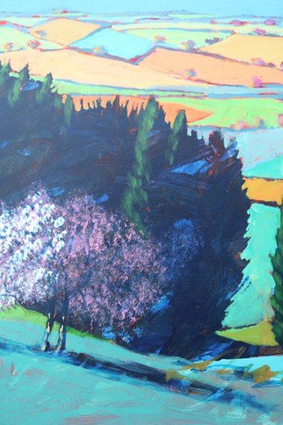 Teme Valley Blüte (Detail 1) von Paul Powis