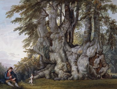 Ein Junge lässt einen Hund am Stamm einer alten knorrigen Buche tanzen von Paul Sandby