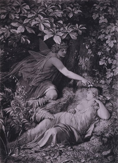Szene aus Shakespeares Ein Sommernachtstraum (Akt IV, Szene 1) von Friedrich Paul Thumann