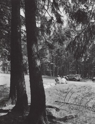 Eine Rast im Wald, Bayern von Paul Wolff