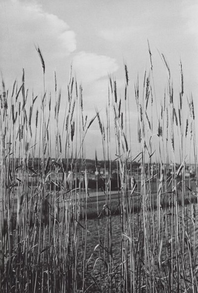 In der bayerischen Landschaft von Paul Wolff