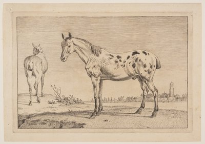 Das wiehernde Pferd, aus der Serie der Pferde von Paulus Potter