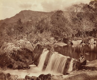 Wasserfall, County Wicklow von Payne Jennings