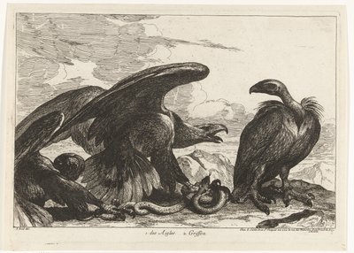 Geier und ein Adler mit Schlange von Peeter Boel (attributed to)
