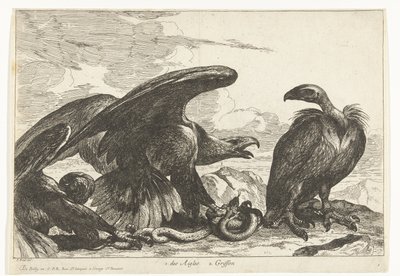 Geier und ein Adler mit Schlange von Peeter Boel (attributed to)