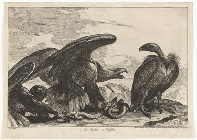 Geier und ein Adler mit Schlange von Peeter Boel (attributed to)