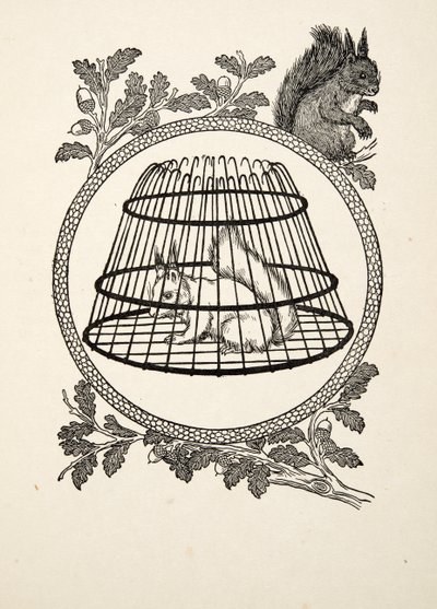 Ein Flüchtlingseichhörnchen, aus Hundert Anekdoten über Tiere, veröffentlicht 1924 von Percy J. Billingshurst