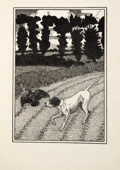 Den Vogelfänger täuschen, aus Hundert Anekdoten über Tiere, veröffentlicht 1924 von Percy J. Billingshurst