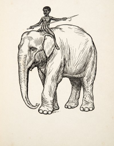 Reue, aus Hundert Anekdoten über Tiere, veröffentlicht 1924 von Percy J. Billingshurst