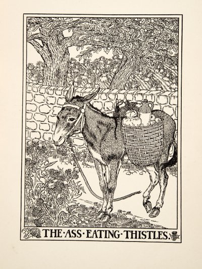 Der Esel, der Disteln frisst, aus Hundert Fabeln von Aesop, veröffentlicht 1903 von Percy J. Billingshurst