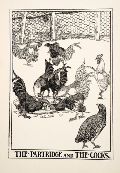 Das Rebhuhn und die Hähne, aus Hundert Fabeln von Äsop, veröffentlicht 1903 von Percy J. Billingshurst