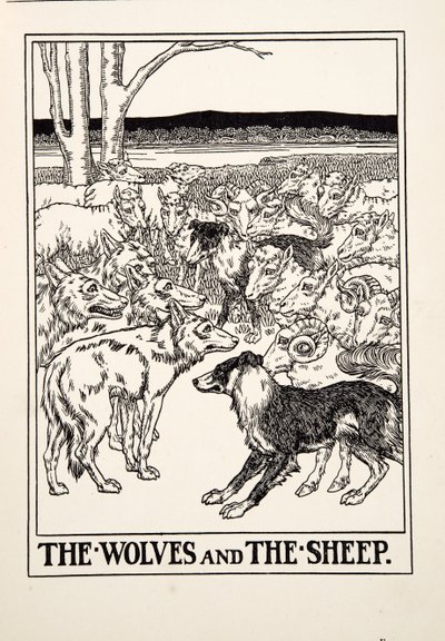 Die Wölfe und die Schafe, aus Hundert Fabeln von Äsop, veröffentlicht 1903 (Gravur) von Percy J. Billingshurst