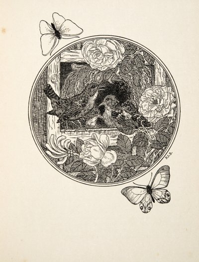 Zaunkönige lernen zu singen, aus Hundert Anekdoten über Tiere, veröffentlicht 1924 von Percy J. Billingshurst