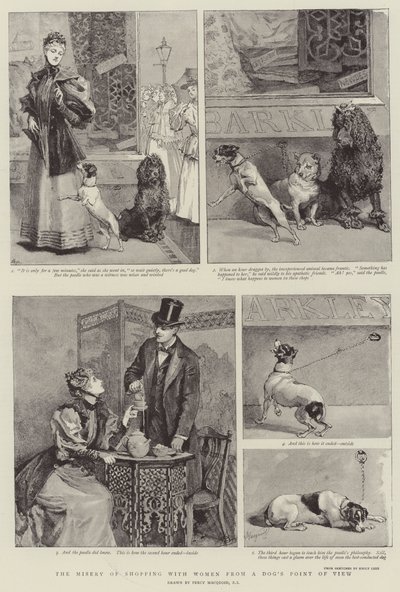 Das Elend des Einkaufens mit Frauen aus der Sicht eines Hundes von Percy Macquoid