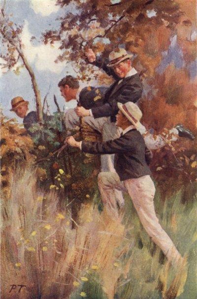 Über den ersten Zaun von Percy Tarrant
