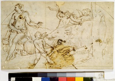 Venus, Putti und Wildschwein von Perino del (1501-47) Vaga