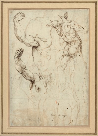 Studie eines nackten Rückens und zwei Studien eines Arms (recto); Nackter Rücken mit Nebenstudien einer Schulter und eines Beins (verso) von Perino del Vaga