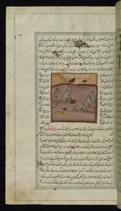 Der Maisvorrat eines Bauern wird von Mäusen angegriffen aus Lichter von Canopus von Persian School