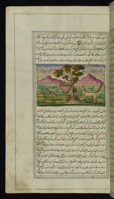 Ein Fuchs und eine Trommel aus Lichter von Canopus von Persian School