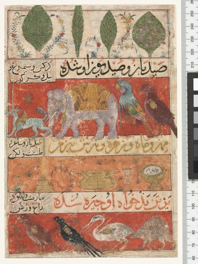 Tiere, Vögel und Pflanzen, Ilkhanid-Periode, 1341 von Persian School