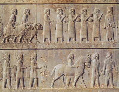 Detail des Relief-Frieses auf der Osttreppe zur Apadana (Audienzhalle), das Delegierte aus den unterworfenen Ländern des Reiches zeigt, die üppige Geschenke für eine Zeremonie bringen, Achämenidenzeit, ca. 515 v. Chr. von Persian School