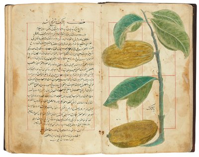 Hassan Bin Baqir Bin Jarrah: Gulzar Al-Rayahin, Qajar Iran von Persian School