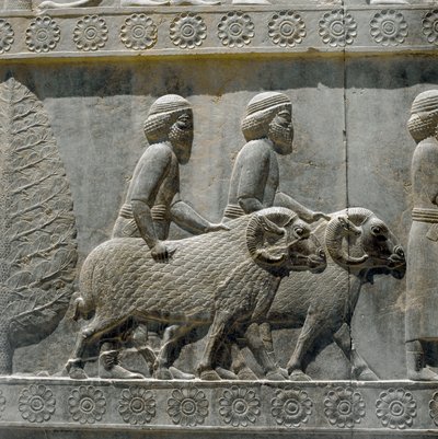 Sogdianer bringen Geschenke zu Darius I. von Persian School