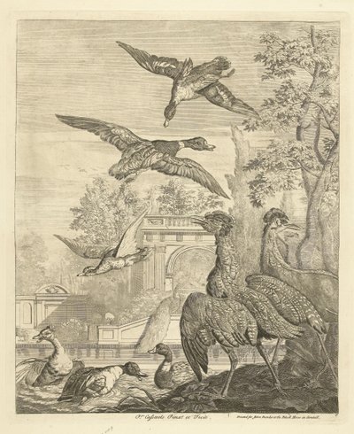 Enten und Reiher bei einem Vogelteich von Peter Casteels (III)