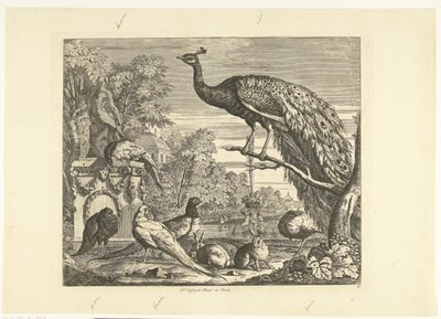 Pfau, Kaninchen und andere Vögel bei einem Gartenbrunnen (Verschiedene Vögel) von Peter Casteels (III)
