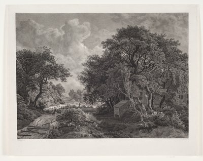 Weg durch ein Dorf mit hohen Bäumen von Peter Christian Schøler